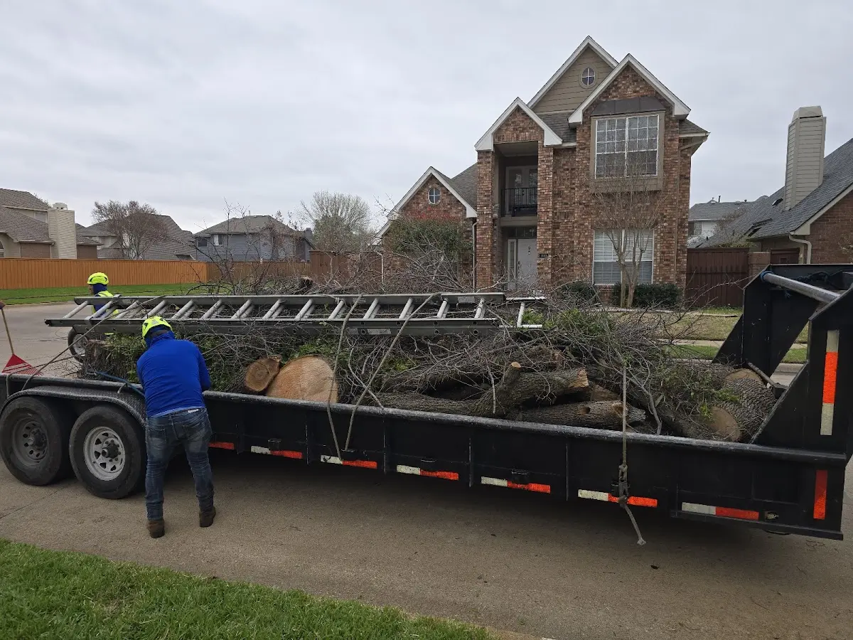Expert Crown Reduction with proper safety equipment in Culdesac